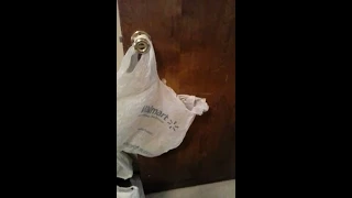 101 - mha insanity Wal Mart bag on your door knob