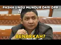 Download Lagu BENARKAH PASHA UNGU MUNDUR DARI DPR ?