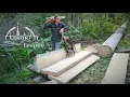 Two Chainsaw Secrets Turning a Tree into Perfect Boards