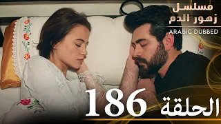 الحلقة 186 مسلسل زهور الدم مدبلج بالعربية Kan Çiçekleri 