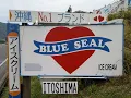 Download Lagu ITOSHIMA NOGITA JP from NEW YORK SEASIDE HEARTS presents FREE WAVE/BEACH STREAMING