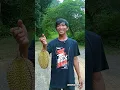 Download Lagu HANTU DURIAN
