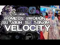 Download Lagu DJ THAILAND ROMLOS PROPUN X SU JAUH SA TANAM VELOCITY TREND VIRAL REMIX TIKTOK 2025 - NAN KO PAHAM