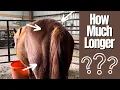 FOAL WATCH - How Can You Tell If Your Mare Is Close To Foaling