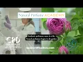 What Is Natural Perfumery Inside a Certified Training for Plant-Based Perfume Makers