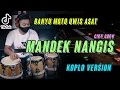 Download Lagu MANDEK NANGIS KOPLO ( Banyu Moto Wes Asat Krono Mikir Koe Minggat )