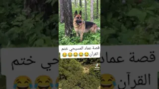                      دندنها