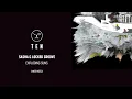 [LNOE143] Sasha & Locked Groove  - Exploding Sun