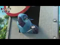 ROSALÍA, J Balvin - Con Altura (Official Video) ft. El Guincho, rio 2.