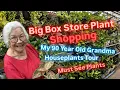 Download Lagu Big Box Store Plant Shopping at Lowe's 90 Year Old Grandmother's Houseplant Tour Healthy Long Life