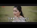 Lagu Karo Terbaru SEH KEL UKURNDU - Cindy Margaretha Tarigan [Official Music Video]