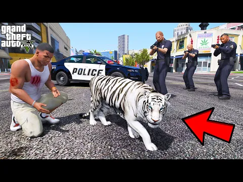 Video Thumbnail: Franklin Tries to Catch a Rare White Tiger in GTA 5 | SHINCHAN and CHOP