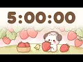 5 Hour Timer 5 Hr Study Timer for Classroom Focus