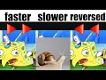 Mocking spongebob meme but it s faster slower and reversed