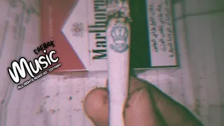 اغاني سوريه صحيت بيا احساس 2025 مطلوبه اكثر شيء 