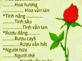 Download Lagu Ngheo thj ko phai la cai toi