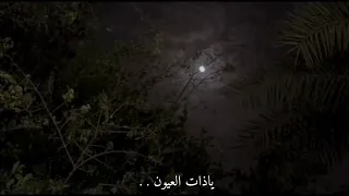 عشقك جنون واكثر من الجنون 