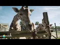 Gulf Breeze Zoo Overview