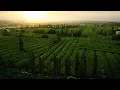 Download Lagu Dit ingenieuze systeem brengt water naar de Chinese woestijn