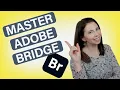 5 Top Tips for Adobe Bridge Photo Organising