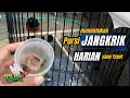 Download Lagu PORSI JANGKRIK HARIAN yang TEPAT