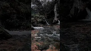 سريت بروحي فيا سعد روحي  فراس السليمي  الغشيم  اناشيد  أناشيد دندنها