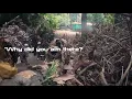 KickingMustangs bad airsoft Overshooting