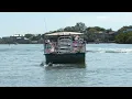 Southwest Florida s Premier Dolphin Tour Company Fun Boat Tours