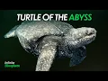 This Deep Sea Reptile Shouldn t Exist