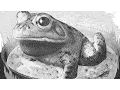 Boiled Down Node js and Mongo DB