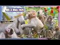 Download Lagu Weaning older babies 🤪\u0026 Welcoming newer ones 😍
