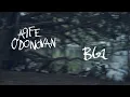Aoife O'Donovan - "B61" [Official Audio + Lyrics]