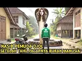 Download Lagu BIKIN NANGIS!! KISAH PEMUDA OJOL YANG JATUH CINTA DENGAN SILUMAN ULAR