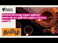 Lagu வெல்லப்போவது எந்தக் குதிரை? மெல்பன் கப் குதிரைப்பந்தயப் போட்டி இன்று! | SBS Tamil - SBS தமிழ் |...