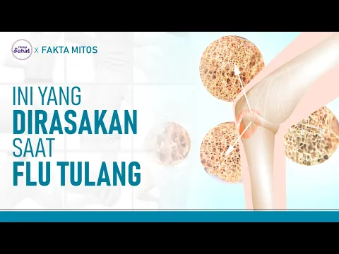 Flu Tulang atau Chikungunya: Gejala, Penyebab dan Cara Mengatasi