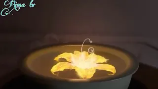 امل تألق وارتقى مثل النجوم محلقة 