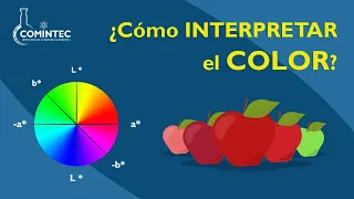 ¿Cómo INTERPRETAR el COLOR?