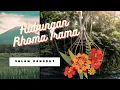 Download Lagu hubungan - RHOMA IRAMA