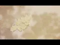 River (Official Video)