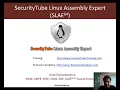 pentesteracademy x86 - 64 Assembly Language and Shellcoding on Linux