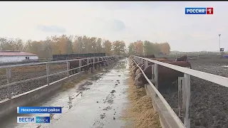 Обеспечить молокозаводы Омска местным сырьём