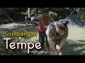 Lagu Komedi Jawa || SUMBANGAN TEMPE || Ruwet Eps. 140