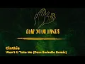 Cinthie - Won't U Take Me (Dam Swindle Remix)
