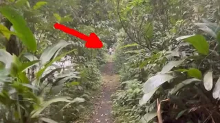 O VÍDEO NO BRASIL QUE CIÊNCIA NÃO EXPLICA: 6 Registros que Desafiam a Lógica