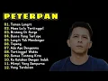 Download Lagu Lagu Peterpan Terbaik Tahun 2000an || Taman Langit, Masa Lalu Tertinggal, Bintang Di Surga + Lirik