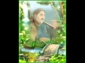 Download Lagu Ustad Sarahang - Raag Chander-Kauns
