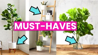 The MUST-HAVE IKEA Products for your Fiddle Leaf Fig