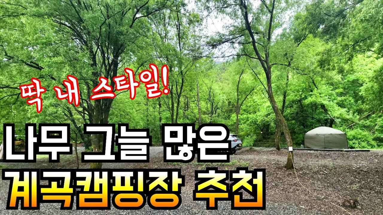 그늘 명당 계곡 캠핑장 오픈/요즘 푹 빠진 쉘터로 우중캠핑/인생 튀김 우동과 돈마호크 먹방/위셀럽 1회 정모 썸네일