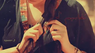 يا زين يابو خد وردي   لا يا اميرة  سعدي البياتي دندنها