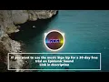 DYLAN SITTS - Spiked Cider